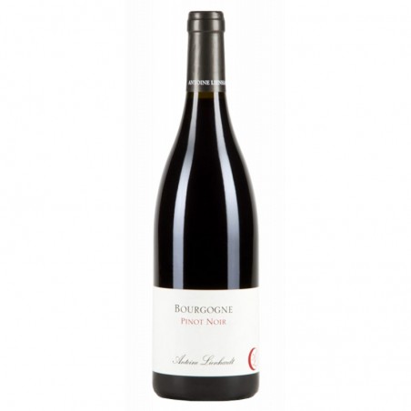 Bourgogne-antoine-Heloise-lienhardt-bourgogne-pinot-noir.png